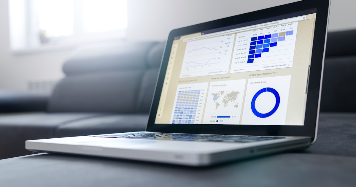 Showcasing Dashboard Samples and Outcomes